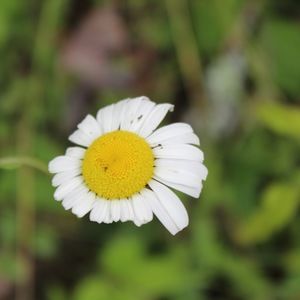 Meet your Posher, Sherry